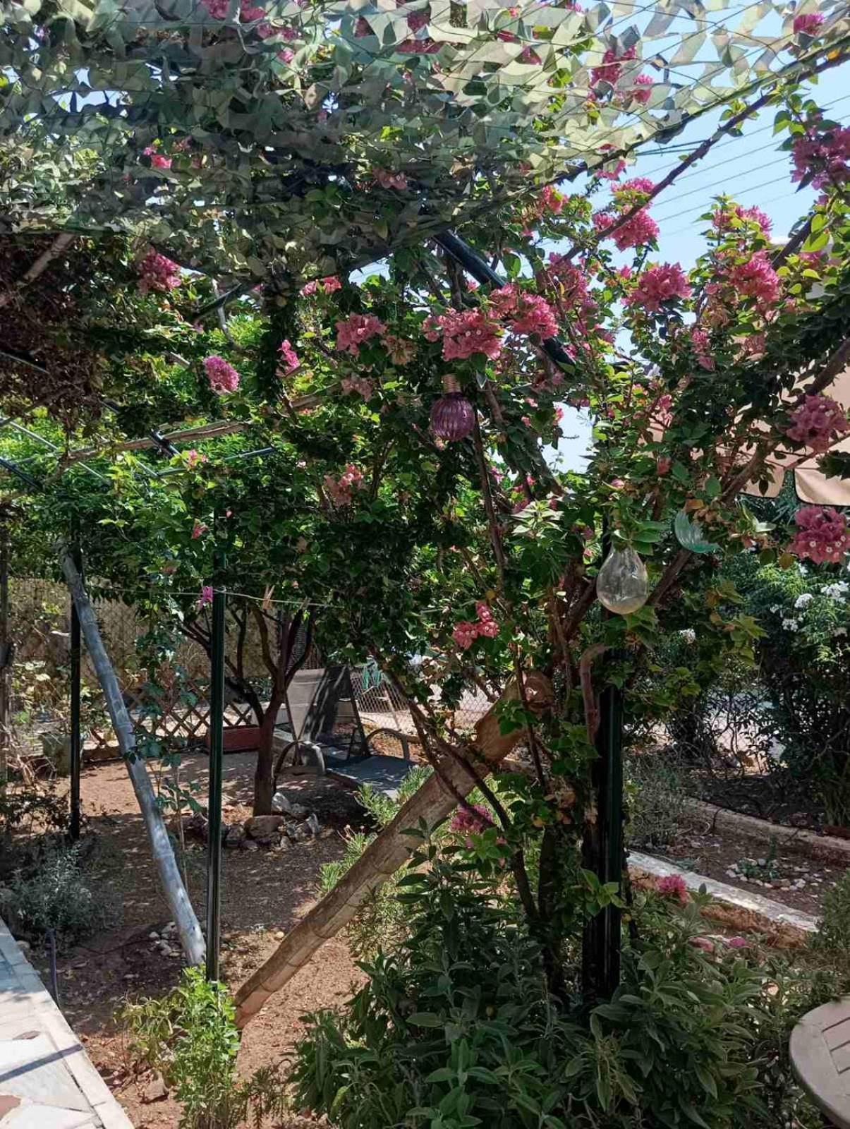 Εξοχικό Roxani Villa Ambelakia Exterior photo